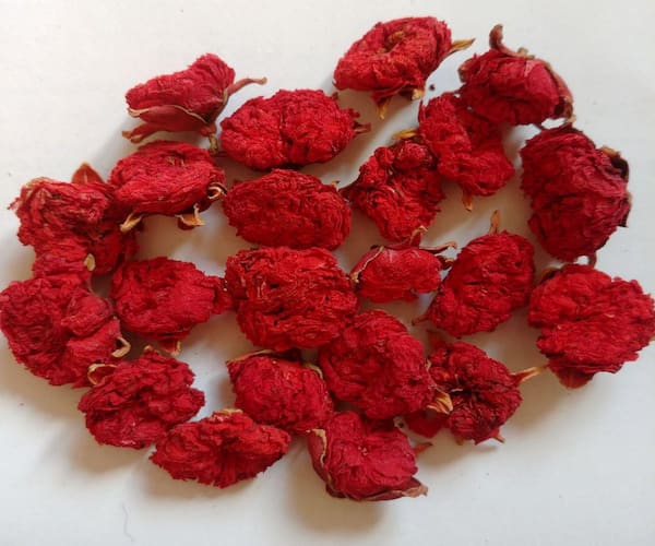 خرید و فروش گلنار فارسی برای لاغری با شرایط فوق العاده